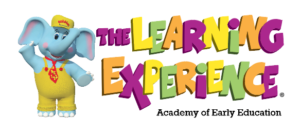 The Learning Experience